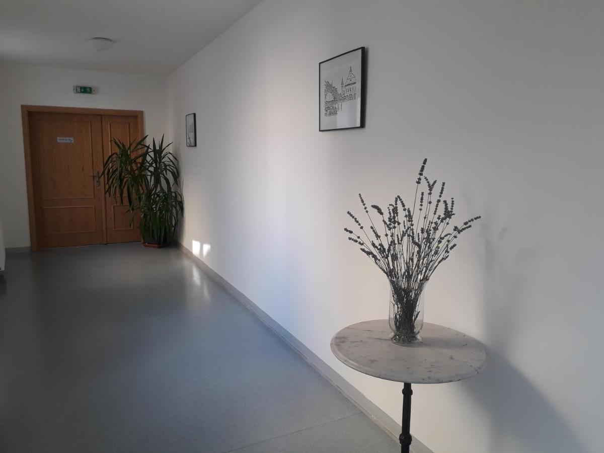Penzion Hotelu Central Dvůr Králové nad Labem Esterno foto