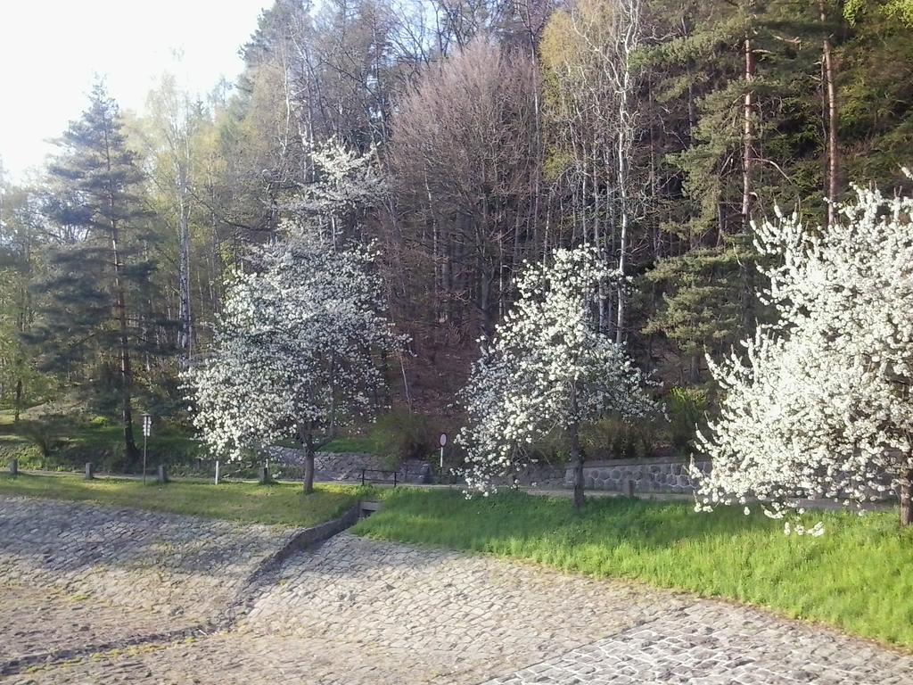Penzion Hotelu Central Dvůr Králové nad Labem Esterno foto
