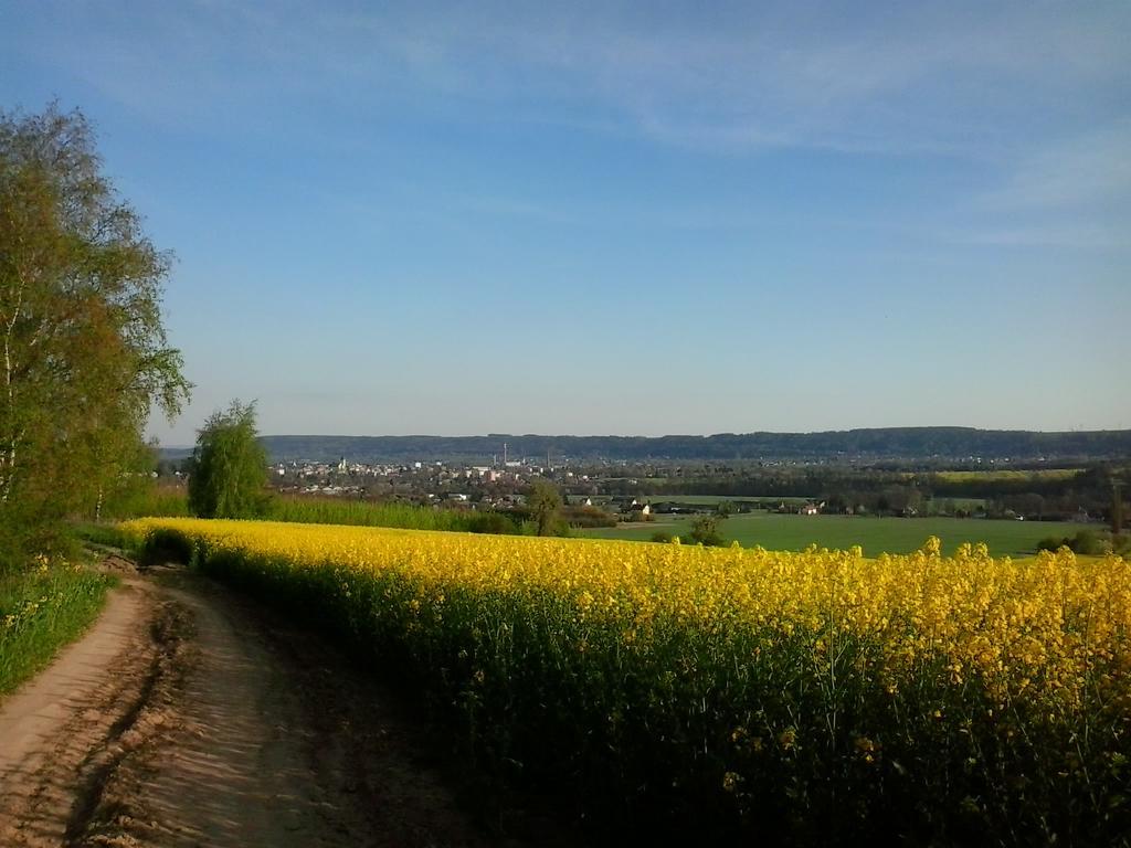 Penzion Hotelu Central Dvůr Králové nad Labem Esterno foto